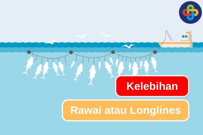 3 Keunggulan Rawai sebagai Alat Penangkap Ikan